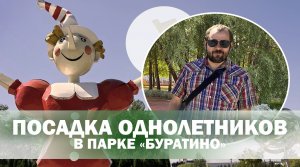 Посадка однолетников в парке "Буратино"