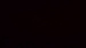 Регуляция работы сердца и кровеносных сосудов.