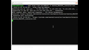 Installing Weaved Services on Raspberry Pi
