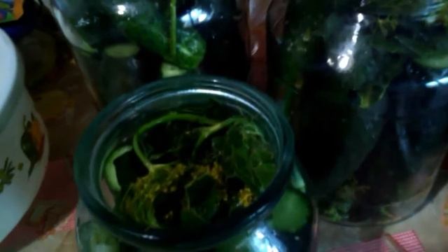 68.# СОЛЁНЫЕ ОГУРЧИКИ(холодный способ).ЭТИМ СПОСОБОМ СОЛЮ БОЛЕЕ 20 ЛЕТ.ВКУС ОТМЕННЫЙ,КАК БОЧКОВЫЕ . смотреть онлайн