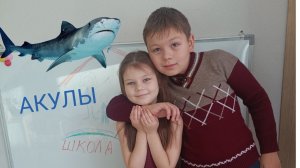 Акулы