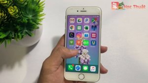 Cách Bật/Tắt Cookie trên Safari iPhone trong 1 nốt nhạc