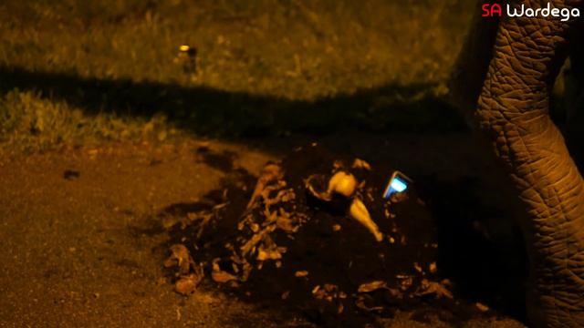 Jurassic World Dinosaurs Prank (SA Wardega) смотреть онлайн