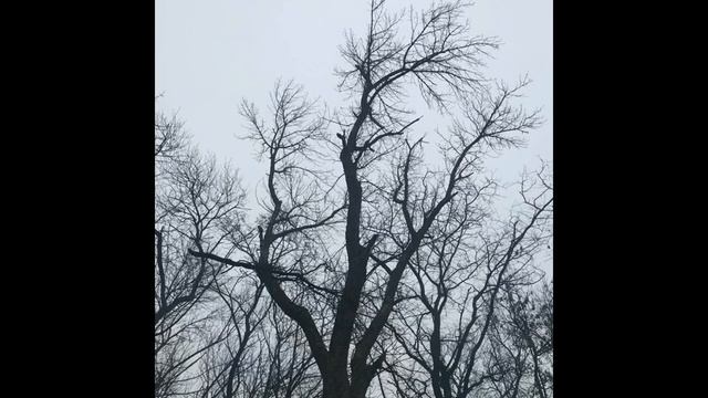 Берегите природу. Она дает силы жить!!! смотреть онлайн