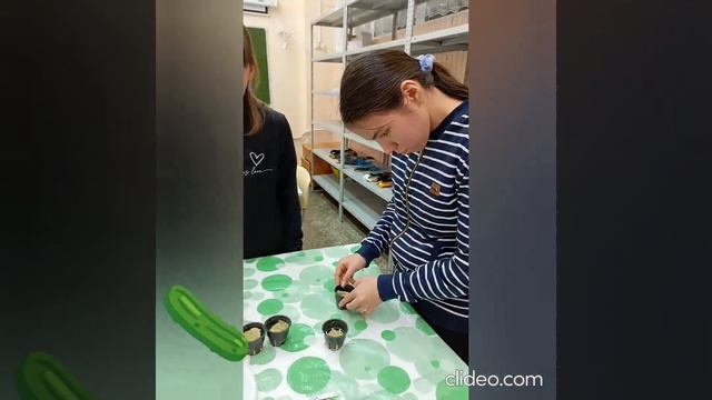 Коптелова Н.В.,МБОУ КОШИ р.п. Магнитка
