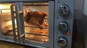 Мини-печь HYUNDAI MIO-HY052 Курица