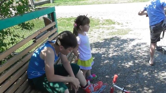 Наше утро/Наш Огород/Надо Садить Картошку/11.05.20 смотреть онлайн