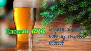 ВАРКА ЕЛОВОГО ПИВА! Отличный рецепт! AMERICAN PALE ALE C СОСНОВЫМИ ПОБЕГАМИ!