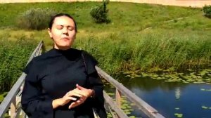 Суздаль - достопримечательности, лето, прогулка с гидом в Суздале