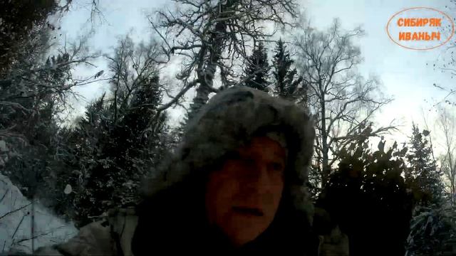 ЭКСПЕРИМЕНТАЛЬНЫЙ СОЛОНЕЦ!!! Наблюдаем кто ходит летом, осенью и зимой! смотреть онлайн