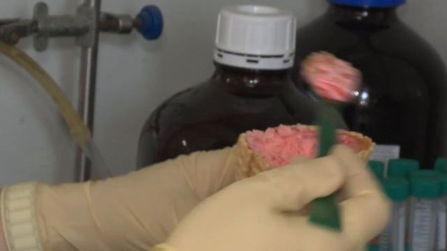 В Белгородской МВЛ проверили мороженое на показатели качества и безопасности.mp4 смотреть онлайн