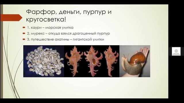 Что изучает малакология? Моллюски и мягкотелые. Лекция №2. Заочная зоологическая школа.