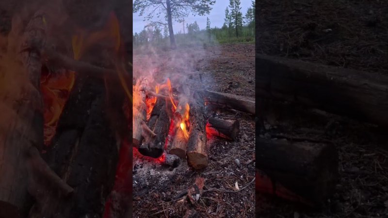 Хорошо на природе #camping #костер