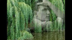 Ивушка плакучая -поёт и монтаж А.Киселёва-Васильева