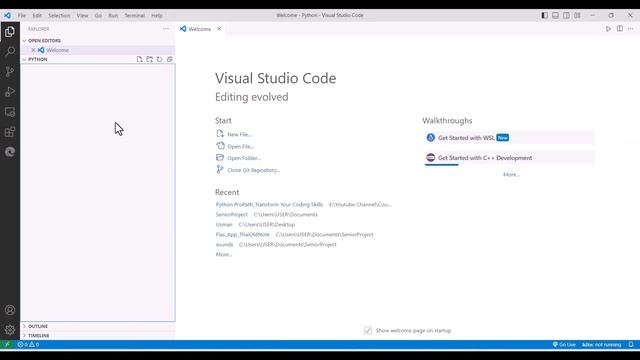 Beginner's Guide: Installing Python in VSCode