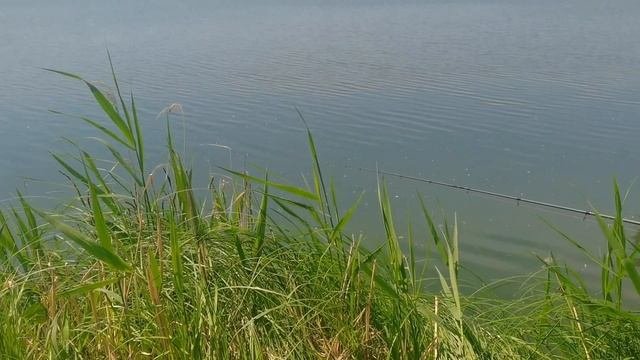 Озеро Глухое Новосибирск 12.06.23 теория всплеска, время между забросами, процесс.