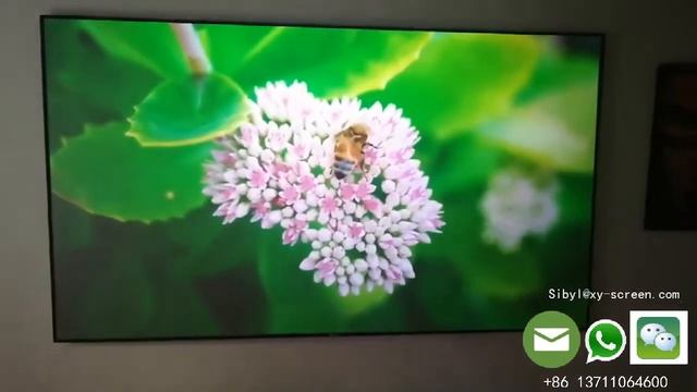 ACER VL7860 DLP projector with XY screen ALR Black Crystal 106inch смотреть онлайн