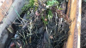 ТЕПЛАЯ ГРЯДКА // ГОТОВИМСЯ К ЛЕТУ ОСЕНЬЮ