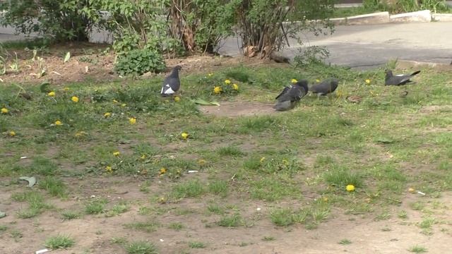Солнечный Краснодар в апреле