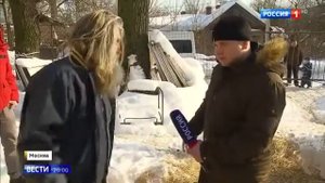 В Южном бутово живут козы- поговорили с их хозяином