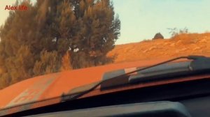 ЧТО БУДЕТ ЕСЛИ ЗАЛИТЬ ПОЛНЫЙ БАК БЕНЗИНА НА НИВЕ