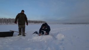 И СНОВА на ОЗЕРО ЗА НАЛИМАМИ с РУССКИМЪ СЕВЕРОМ. ПРОВЕРЯЕМ ПОСТАВУХИ.