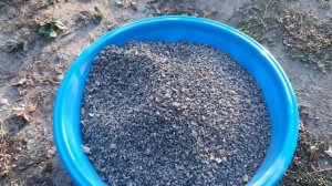 Если этим удобрением огород удобрить осенью, весной вы обалдеете от урожая