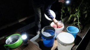 Как отжать сливовый сок