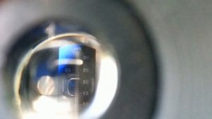 Мурано клубника ремонтантная. Brix