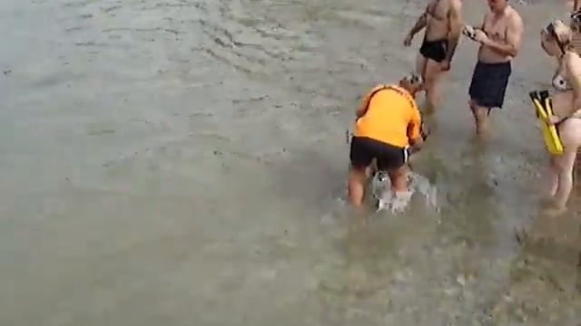 Собака-водолаз 2 смотреть онлайн