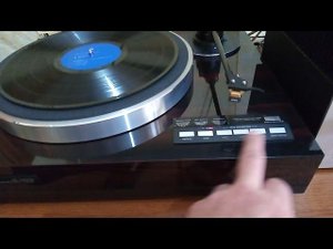 VICTOR QL - Y66F