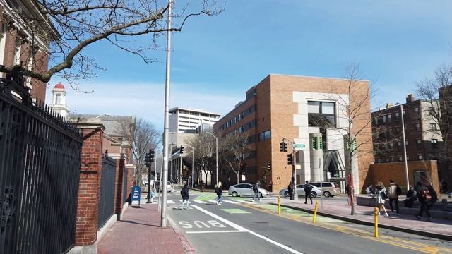 [4K] Harvard Yard at Harvard University, March 2022 | Candid Exploration смотреть онлайн
