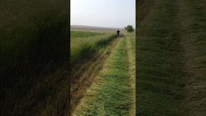 Мотоблок мини трактор Fuchay/Каселка/Беда у'риш 2022