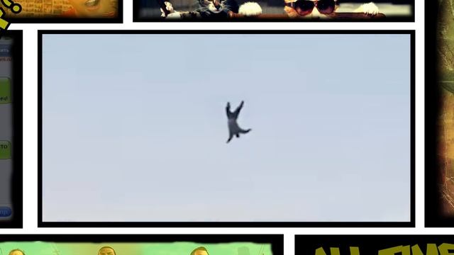 Приколы в GTA 5 | WDF 92 | Неудачный полет смотреть онлайн