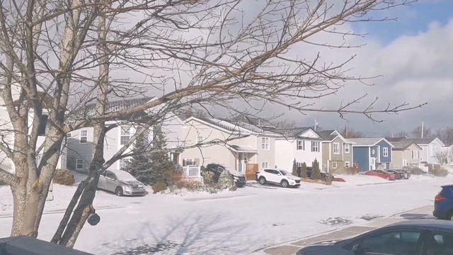 Weather in St. John's Newfoundland and Labrador 🇨🇦🌨️🌞😜♥️|January 16, 2022| смотреть онлайн