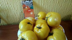 Томаты Золотые купола