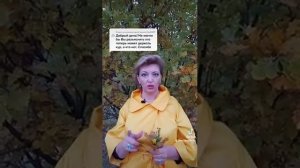 Держать кур в СНТ можно?