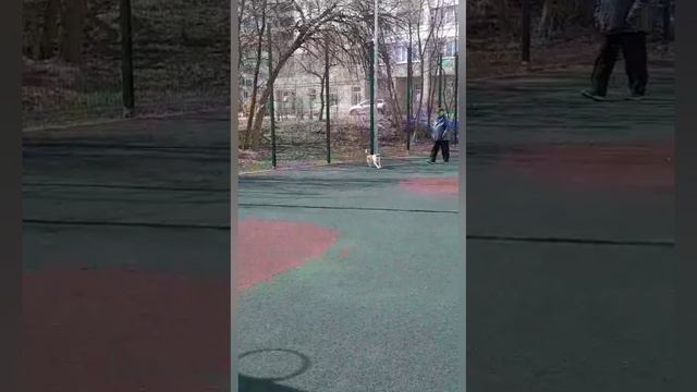 1000000625.mp4 смотреть онлайн