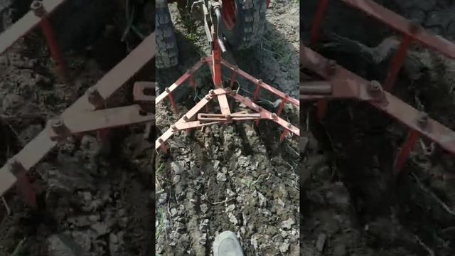 Рыхление Чеснока Бороной ? открытия сезон ? смотреть онлайн