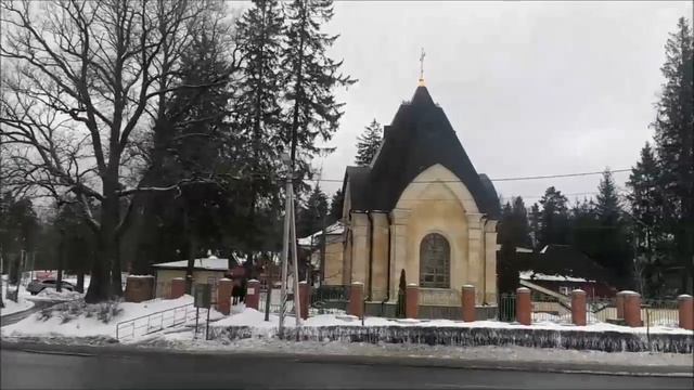 Возложение цветов в аллее Памяти на "Дороге жизни", Румболовская гора, Всеволожск, Ленобласть