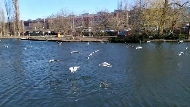 Поздравляю всех женщин с праздником! )) Всем любви, женского счастья, добра! )) смотреть онлайн