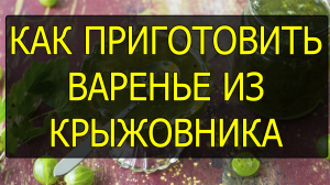 Как приготовить холодное варенье из крыжовника. Рецепт варенья из крыжовника