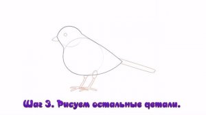 Встречаем 12 ноября - Синичкин день. Учимся рисовать синичку