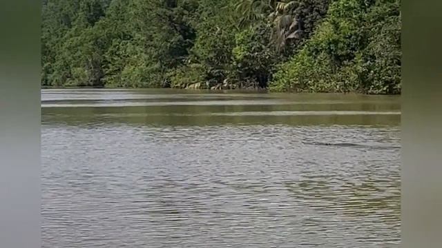 Шри-Ланка 2023 Не все так сладко смотреть онлайн