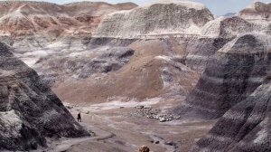 How to Visit Petrified Forest National Park