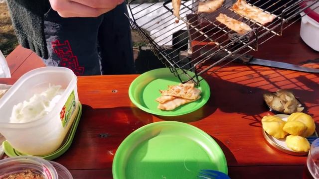 Тусим на даче. Мукбанг. 3 вида шашлыка на даче с Dona Natali смотреть онлайн