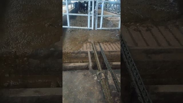 joz тянет.mp4