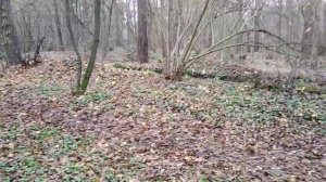 Зачем мужчины-вятичи носили серьгу в левом ухе?