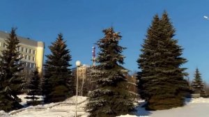 Там на елках шишки, там медведи