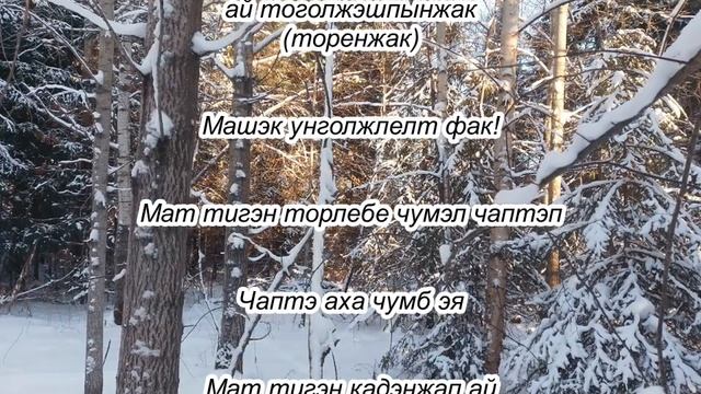 Родное слово (изучаем селькупский язык) Тема Язык 11.12.2022 года смотреть онлайн
